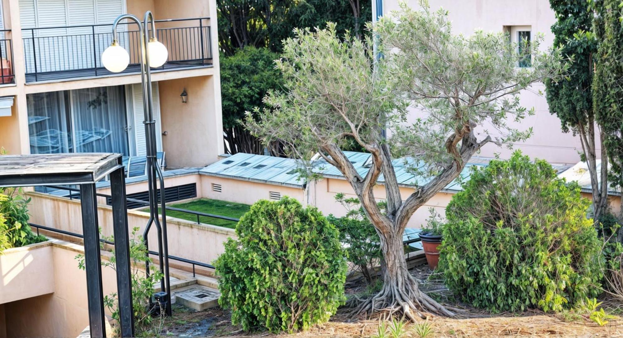 Precioso Apartamento Reformado En 1Ra Linea De Mar Sin Vistas Calella De Palafrugell Δωμάτιο φωτογραφία